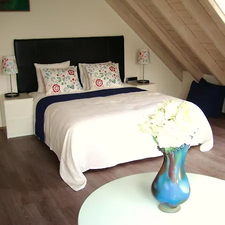 Apartment De Duintop